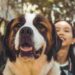 The best companion dogs. For all people The best companion dogs. For all people