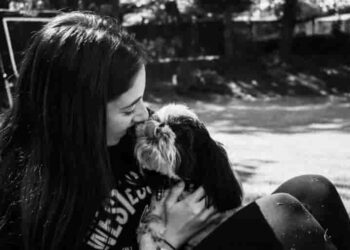 How do you know if your dog loves you?