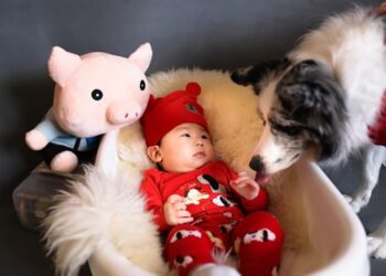 How I prepare my dog for my baby’s arrival?