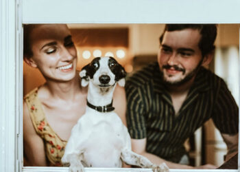 Can a dog have two owners?