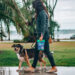 The most common mistakes we make when walking a dog. The most common mistakes we make when walking a dog.