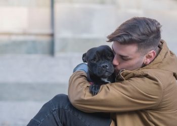 Dogs Cry More When Reunited with Their Owners
