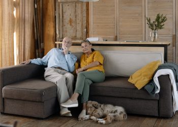 Low-Energy dog Breeds for Seniors