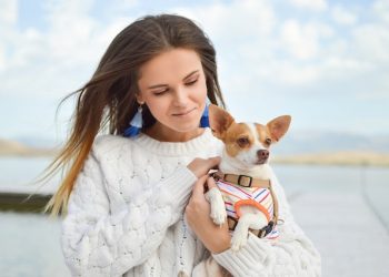 Fascinating Dog Breed History