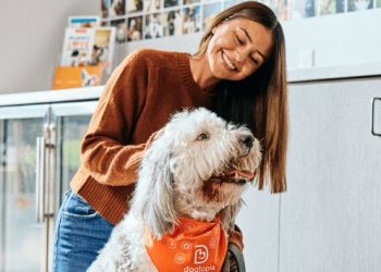 Traveling with Dogs: Tips to Keep Your Furry Friends Safe