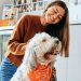 Traveling with Dogs: Tips to Keep Your Furry Friends Safe Traveling with Dogs: Tips to Keep Your Furry Friends Safe