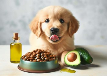 Can Dogs Have Avocado Oil? Everything You Need to Know