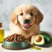 Can Dogs Have Avocado Oil? Everything You Need to Know