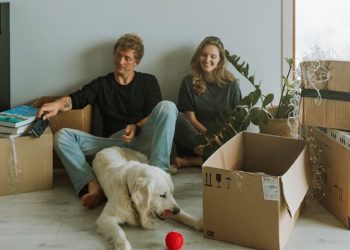 How to Help Your Dog Adjust to a New Home