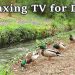 Relax Your Dog TV – 8 Hours of Relaxing TV for Dogs at The Babbling Brook ✅ Relax Your Dog TV – 8 Hours of Relaxing TV for Dogs at The Babbling Brook ✅