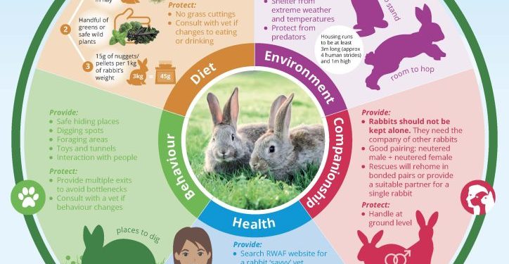 UPDATED Good Practice Code for Rabbit Welfare