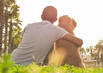 What is an Emotional Support Dog?