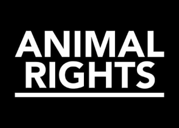 Words matter – Speaking of Research