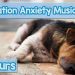 15 HOURS of Deep Separation Anxiety Music for Dog Relaxation! Helped 4 Million Dogs Worldwide! NEW! 15 HOURS of Deep Separation Anxiety Music for Dog Relaxation! Helped 4 Million Dogs Worldwide! NEW!