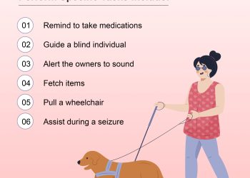 5 Reasons to Get a PSD Letter in Your State?