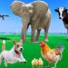 Beautiful Animal Moments – Dog, Cat, Chicken, Elephant, Cow, Sheep – Animal Sounds Beautiful Animal Moments – Dog, Cat, Chicken, Elephant, Cow, Sheep – Animal Sounds