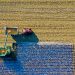 Common Agricultural Policy found to lack ambition by European Court of Auditors Common Agricultural Policy found to lack ambition by European Court of Auditors