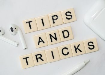 Dog Breeds That Are Perfect for Apartment Living