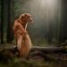 Dog Training 101: Building a Strong Bond with Your Canine Companion Dog Training 101: Building a Strong Bond with Your Canine Companion