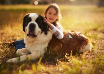 Gentle Giant Dog Breeds for Families with Children