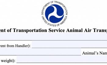 How to Bring a Service Animal on a Plane