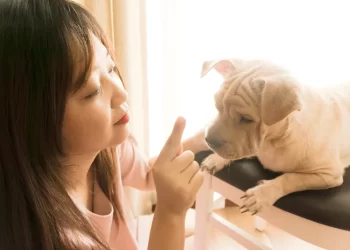 How to Spot ESA Letter Scams