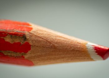 Mastering Leash Training: Tips for a Well-Behaved Pup