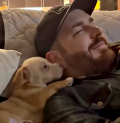 New Puppy Thanks His Dad For Choosing Him Then Drifts-Off To Sleep