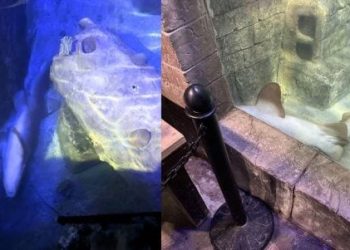 SeaQuest Fort Worth Closes Amid Investigation