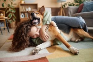 Simple Tips for Calming a Hyperactive Dog