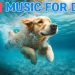 🔴 24/7, Dog TV🎵Soothing Music for Dogs🐶🩷Dog Separation Anxiety Relief and Stress Relief Music 🔴 24/7, Dog TV🎵Soothing Music for Dogs🐶🩷Dog Separation Anxiety Relief and Stress Relief Music