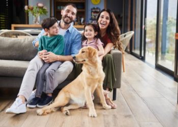 Best Family-Friendly Dog Breeds for First-Time Owners