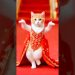 Cute Cat Dancing Video (2)😺😍 #cat #dog #dogdance #catdance Cute Cat Dancing Video (2)😺😍 #cat #dog #dogdance #catdance