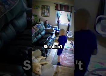 Dog saves a boy from a furious cat #shorts #shortsviral #dogs