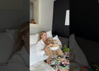 Life mission: keep Oliver happy #dog #goldendoodle