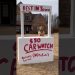 My dog scammed me! My dog scammed me!