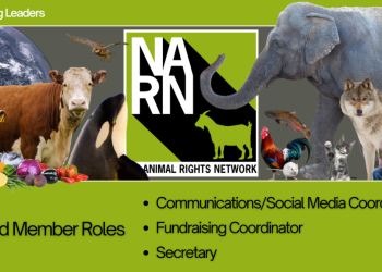 NARN Needs Board Members! – NARN