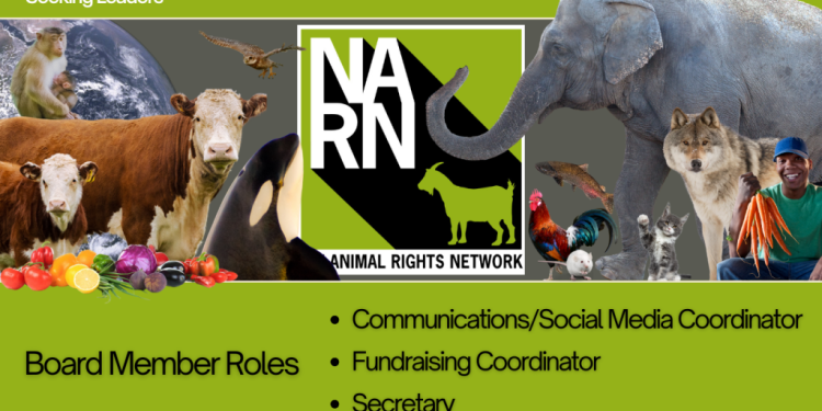 NARN Needs Board Members! – NARN