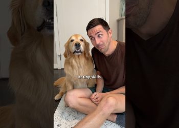 Proof my dog is part human!