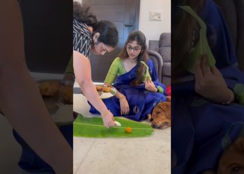 😂❤️ #dog #goldenretiever #shorts #puppy