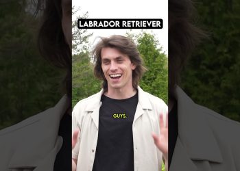 Dog Breeds on the Invisible Fence System #ad #InvisibleFence #petcare