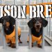 Ep 8: WIENER DOG PRISON BREAK – Funny Dogs Escaping Jail! Ep 8: WIENER DOG PRISON BREAK – Funny Dogs Escaping Jail!