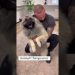 Laugh Out Loud with Hilarious Dog Moments | Dog Chiropractor’s Secret to Canine Happiness| Laugh Out Loud with Hilarious Dog Moments | Dog Chiropractor’s Secret to Canine Happiness|