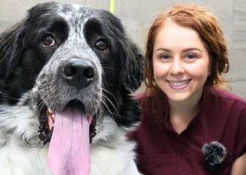 The Happiest, Goofiest, And Floofiest Dog Ever 😍