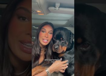 don’t bully my breed @nalatheneedyrottie #shorts #rottweiler