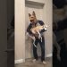 Best funny videos prank by Tanya, Senya and Misha – funny dogs #shorts Best funny videos prank by Tanya, Senya and Misha – funny dogs #shorts