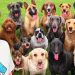 I Adopted EVERY Dog In A Dog Shelter I Adopted EVERY Dog In A Dog Shelter
