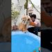 Leo ke baby ki first bath😂 #shorts | Anant Rastogi Leo ke baby ki first bath😂 #shorts | Anant Rastogi
