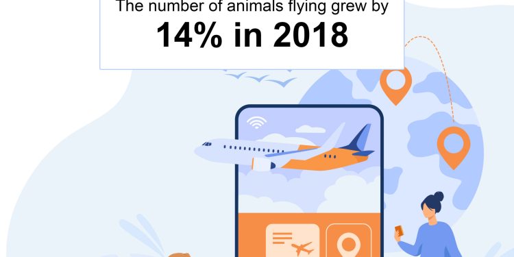 List of Documents Required For Traveling With an ESA Pet