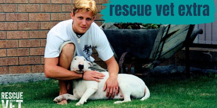 My first rescue dog! Zed’s story | Rescue Vet Extra with Dr Scott Miller